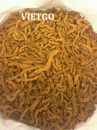 nghệ khô xuất xứ việt nam